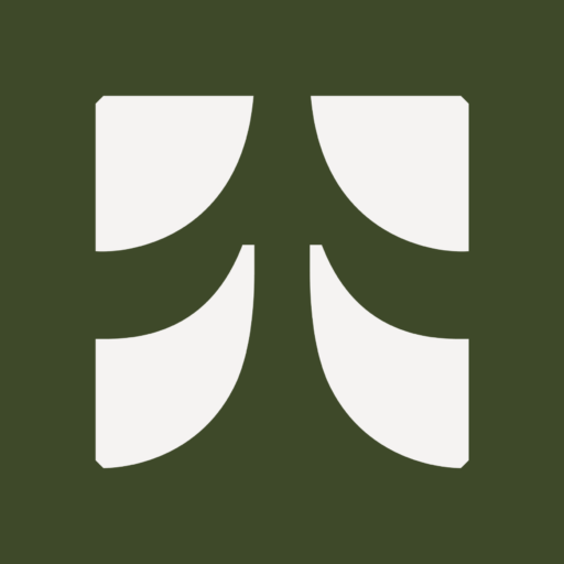 bold lives favicon